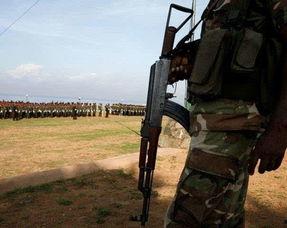 国产56步枪视频大全,经典之作的传承与创新