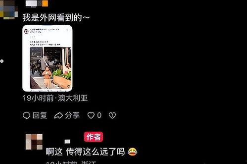 未打码视频国产,光影交织下的时代印记