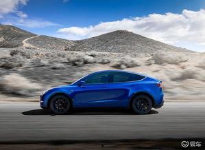 国产特斯拉动作视频播放,速度与激情的国产新篇章